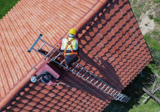 Best Roof Moss and Algae Removal  in Bel Air South, MD