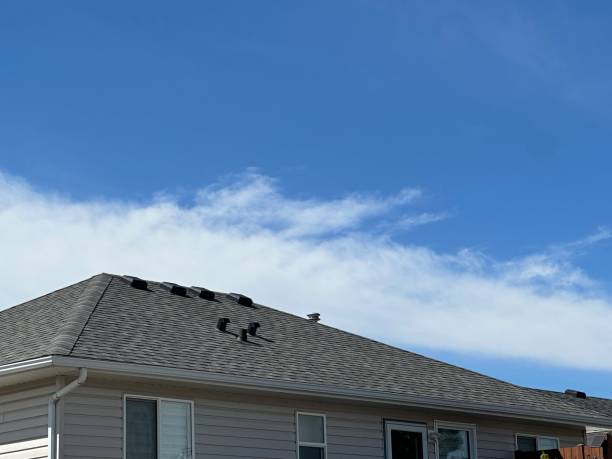 Best Roof Insulation Installation  in Bel Air South, MD